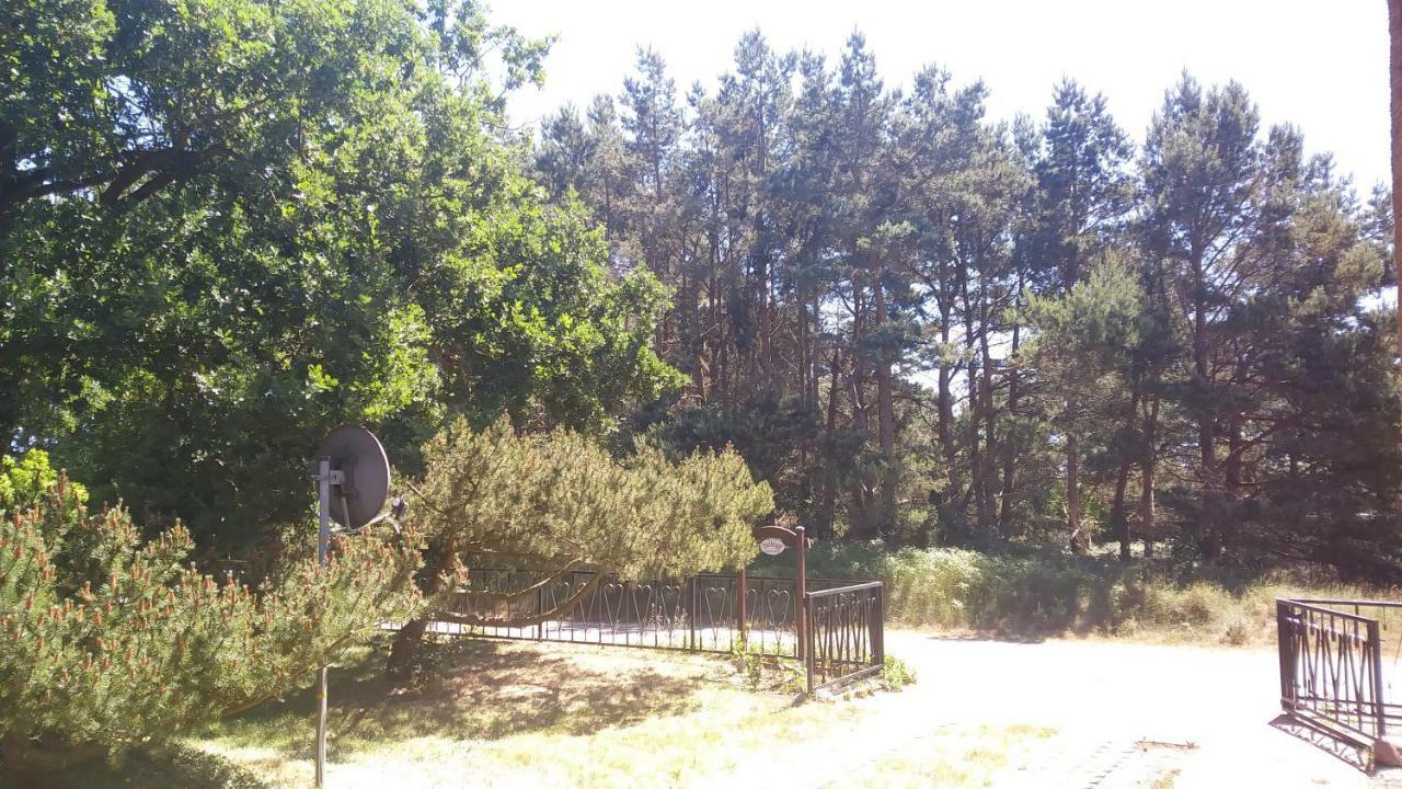 Urlaub Bei Hauenstein Apartment บอร์น ภายนอก รูปภาพ