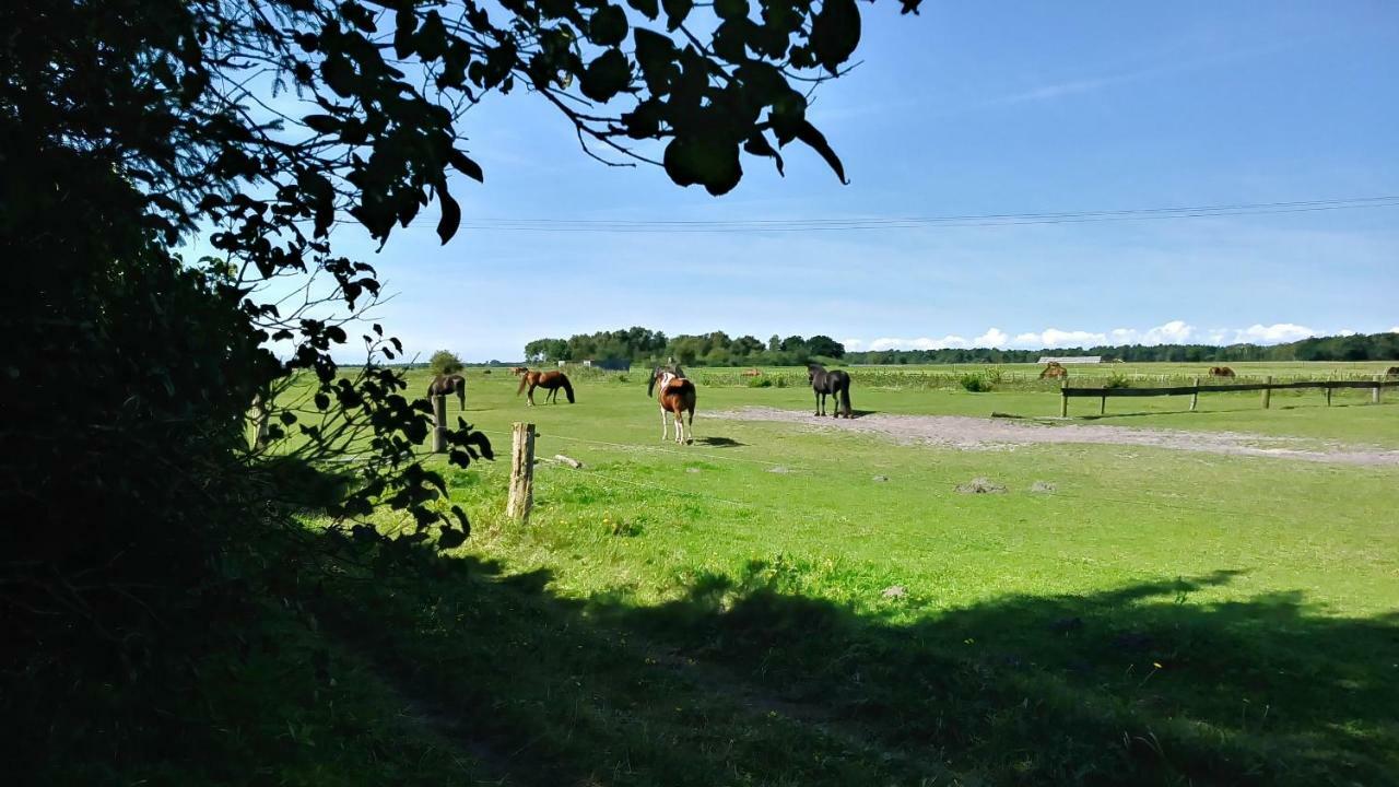Urlaub Bei Hauenstein Apartment บอร์น ภายนอก รูปภาพ