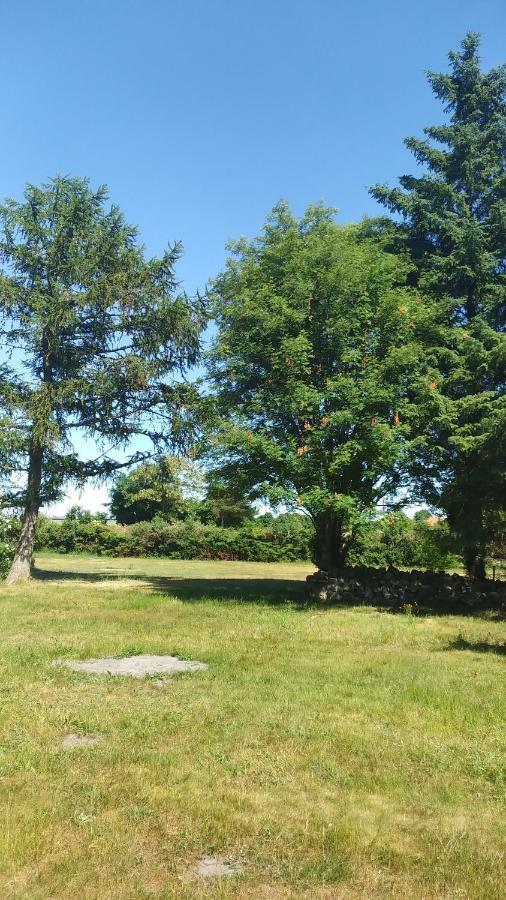 Urlaub Bei Hauenstein Apartment บอร์น ภายนอก รูปภาพ