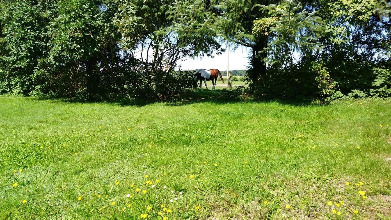 Urlaub Bei Hauenstein Apartment บอร์น ภายนอก รูปภาพ